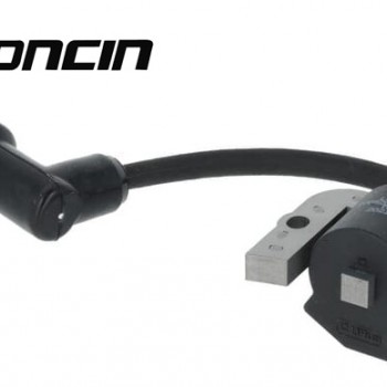 Uždegimo ritė LONCIN LC2P77F, LC2P80F, LC2P82F