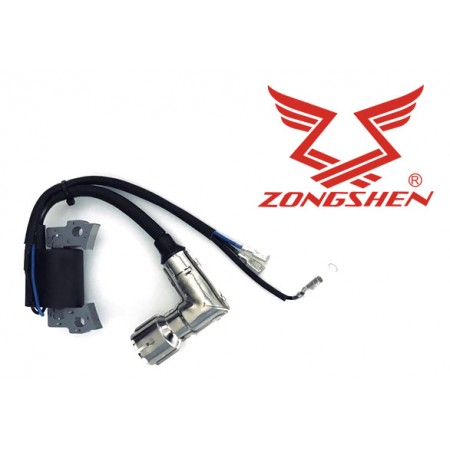Uždegimo Ritė ZONGSHEN NH150H