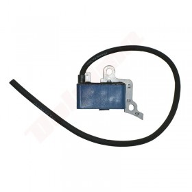 UŽDEGIMO RITĖ TINKANTI ECHO 