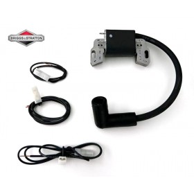 UŽDEGIMO RITĖ BRIGGS&STRATTON SERIA 450E 500E 550E Originali prekė