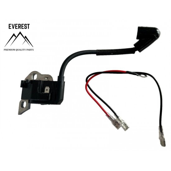 UŽDEGIMO RITĖ STIHL 017, 018, MS170, MS180, EVEREST