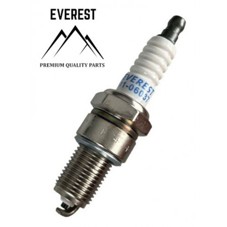 Uždegimo žvakė EVEREST LONCIN, NAC varikliams, BPR7ES / F7RTC