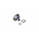 KARBIURATORIUS BRIGGS&STRATTON PULSA PRIMA SERIA 600 QUANTUM Originali dalis