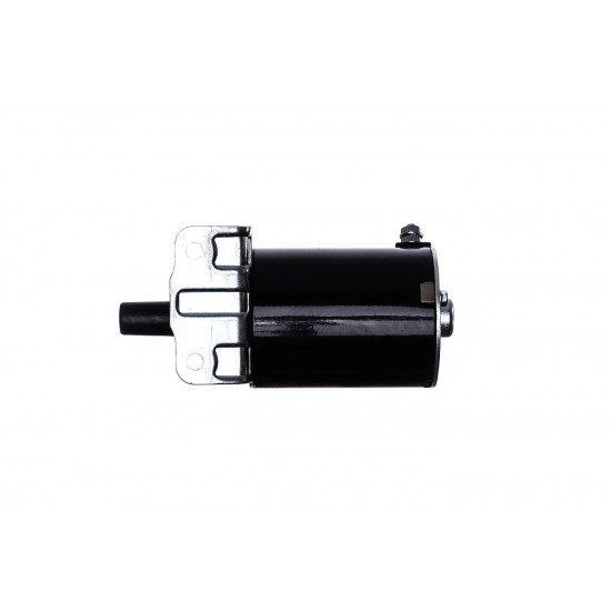 ELEKTRINIS STARTERIS BRIGGS&STRATTON 691564